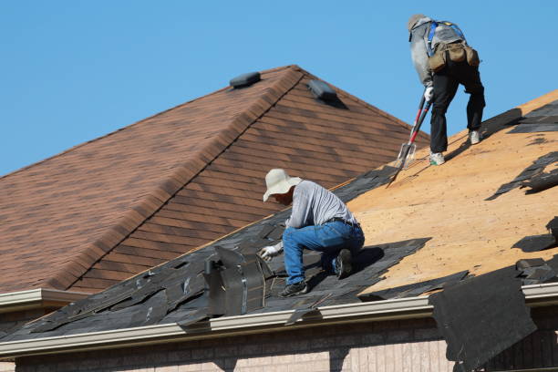 Best Solar Panel Roofing Installation  in Dover, FL